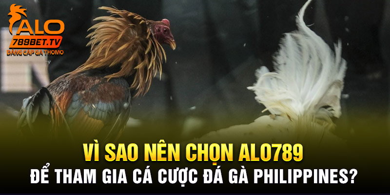 Vì sao nên chọn Alo789 để tham gia cá cược Đá gà Philippines?