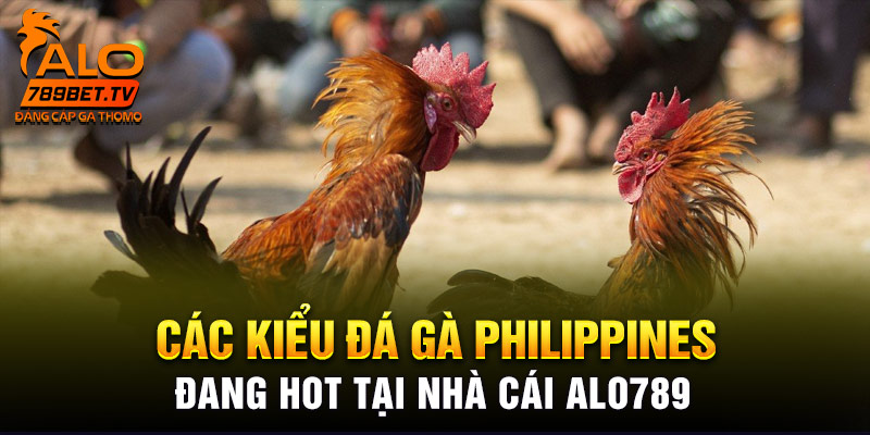 Các kiểu đá gà Philippines đang hot tại nhà cái Alo789